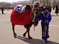 Nowruz in Georgia
,Festivals by Georgia
, Nowruz,Nowruz-March 19, 20, 21 or 22,